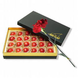 母の日 山形県産ハウス佐藤錦＆カーネーション（生花）【送料込み】【5/7(木)～10(日)の期間にお届け】