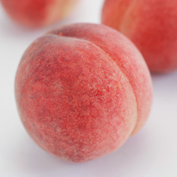 ［MOMONA Peach Farm］岡山県産 はなよめ【送料込み】