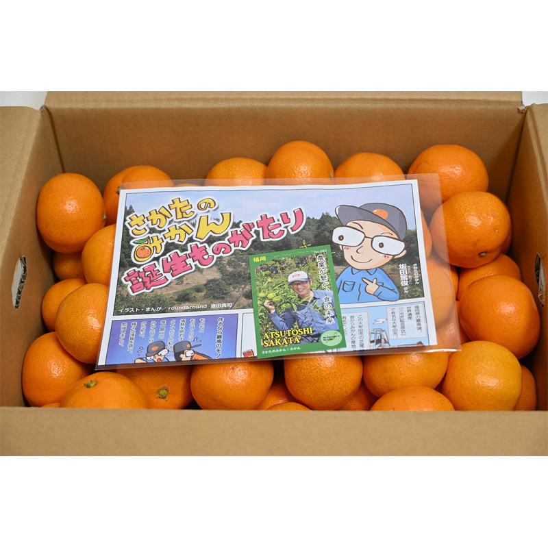 みかんちょ様♡専用 さかたのみかん］福岡県産 早生みかん【送料込み】 - 東武の産直便