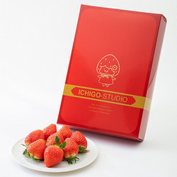 [いちごスタジオ]さぬきひめ 贈答用（400g）【送料込み】