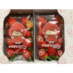 [いちごスタジオ]さぬきひめ＆堅しろう　食べ比べセット（各260g×１パック）【送料込み】