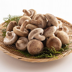 八色（やいろ）しいたけ【送料込み】