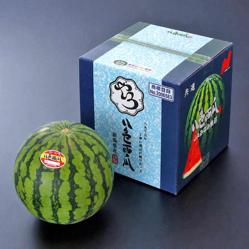 新品　ぐちぽっぷ165 スイカカラー 八色（やいろ）西瓜【送料込み】 - 東武の産直便「とぶちょく