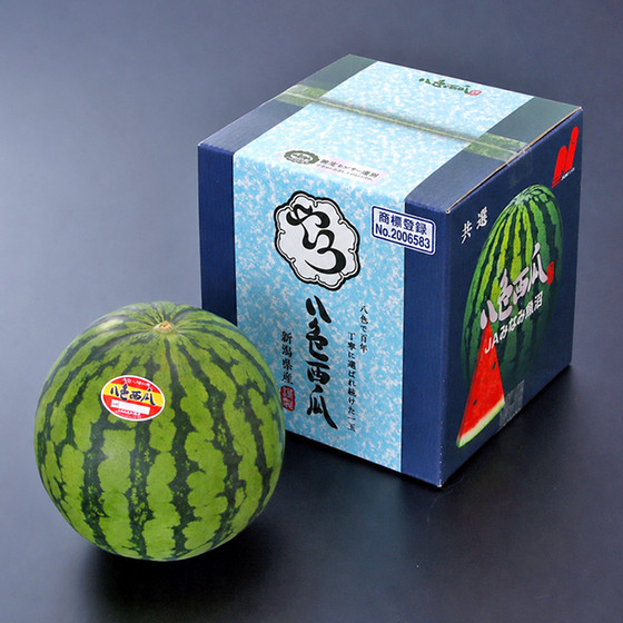 八色（やいろ）西瓜【送料込み】