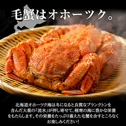 ［三和水産］北海道産 ボイル毛蟹 2尾セット【送料込み】