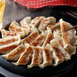 博多・中洲 「宝雲亭」一口餃子【送料込み】