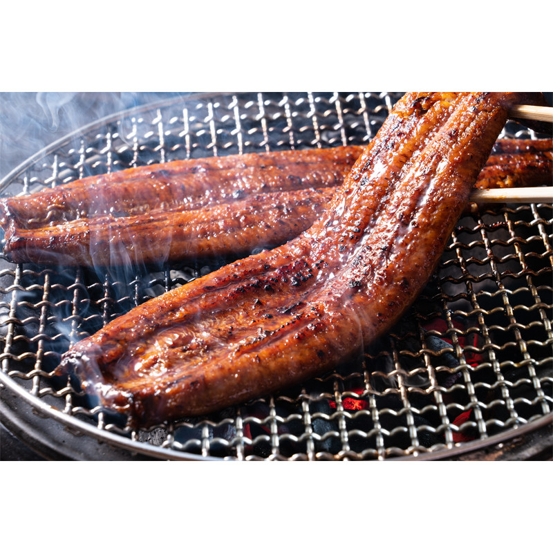 鹿児島「薩摩川内鰻」鹿児島県産うなぎ蒲焼（特大）3尾【送料込み