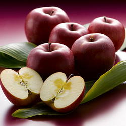 信州安曇野産りんご 「梓川」7～8玉【送料込み】