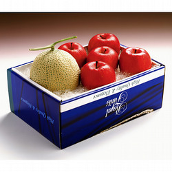 長野県産サンふじ＆熊本県産マスクメロン詰合せ【送料込み】