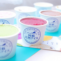 熊本「阿蘇天然アイス」ベジブルアイス【送料込み】