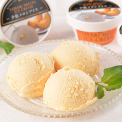 夕張メロンアイスクリーム（10個）【送料込み】