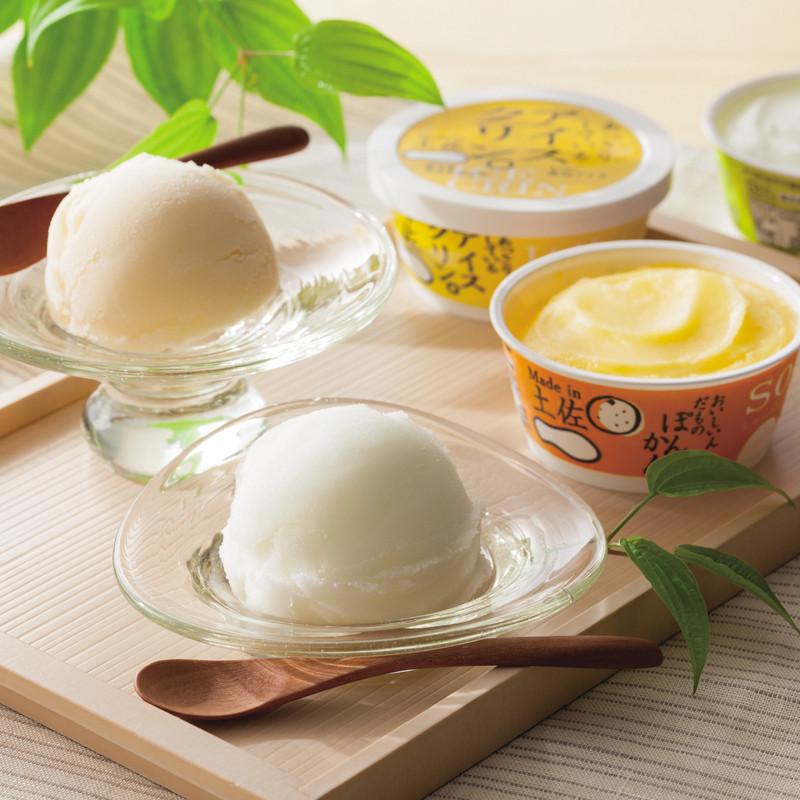 高知 Made in 土佐「南の国の高知アイス」高知アイスセット