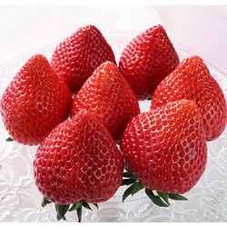 ［矢島農園］埼玉県産・彩のあまりん【送料込み】