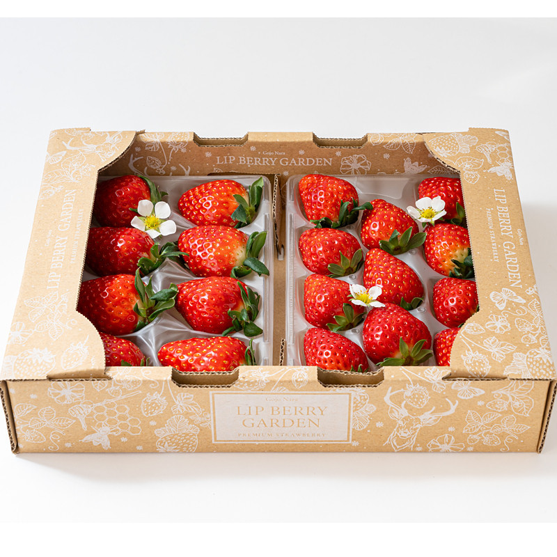 Lip幸せいちご園］奈良県産・古都華（ことか）【送料込み】 - 東武の