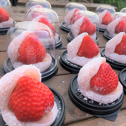 ［うるう農園］福岡県産・特選あまおう苺大福キット【送料込み】