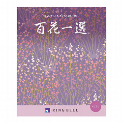 百花一選・弔事用 山桃（やまもも）【カタログギフト】