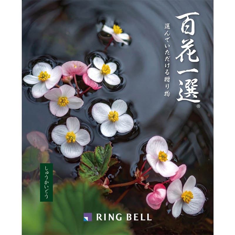 カタログギフト　百花一選　しゅうかいどう 百花一選・弔事用 秋海棠（しゅうかいどう）【カタログギフト】 - 東武