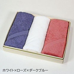 ［ホットマン］ホットマンカラー ハンドタオル3枚セット